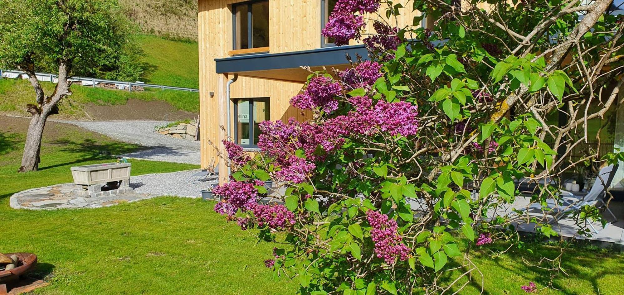Haus Valtellina Villa Galgenul Екстериор снимка